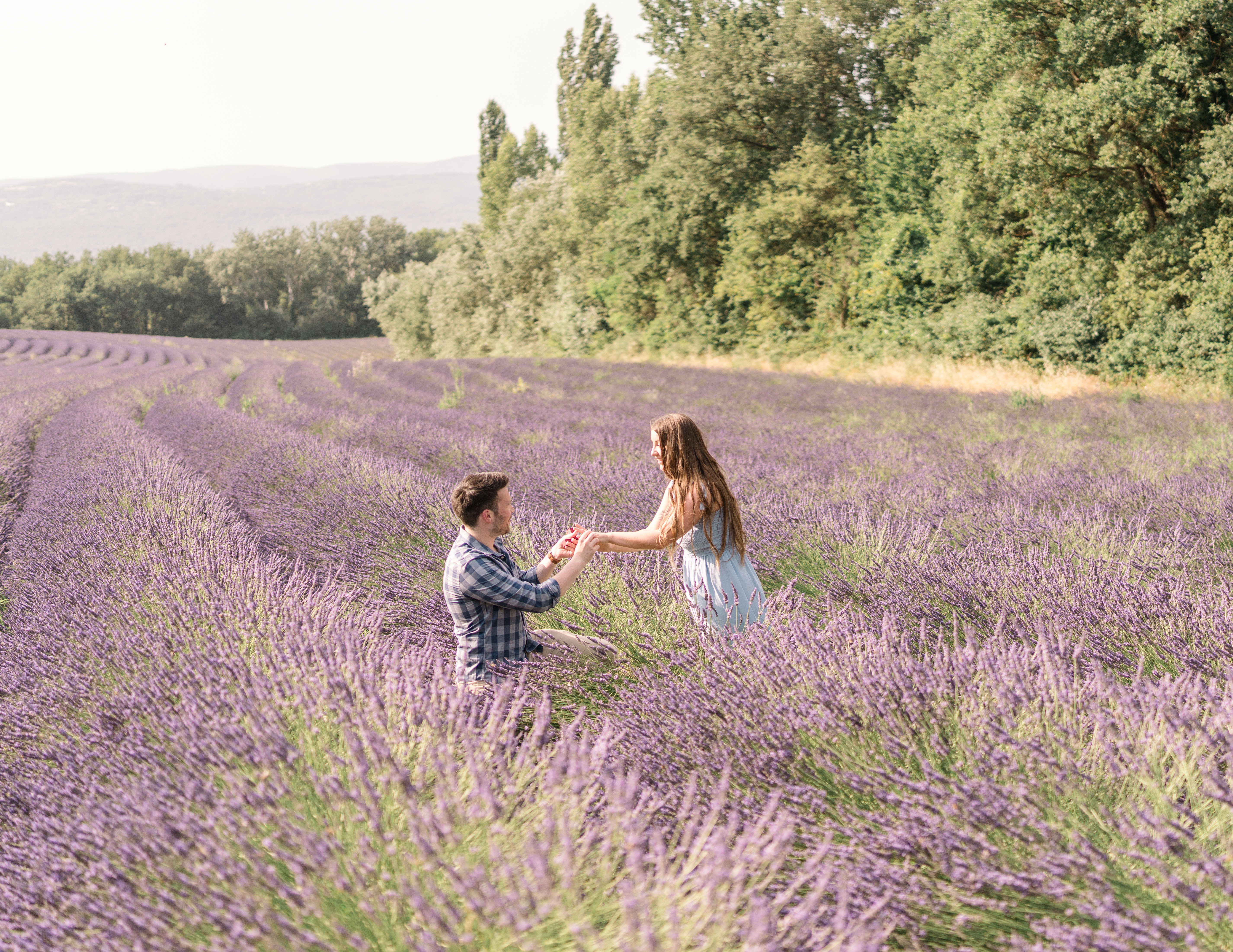 The proposal in a lavender field in Gordes, France